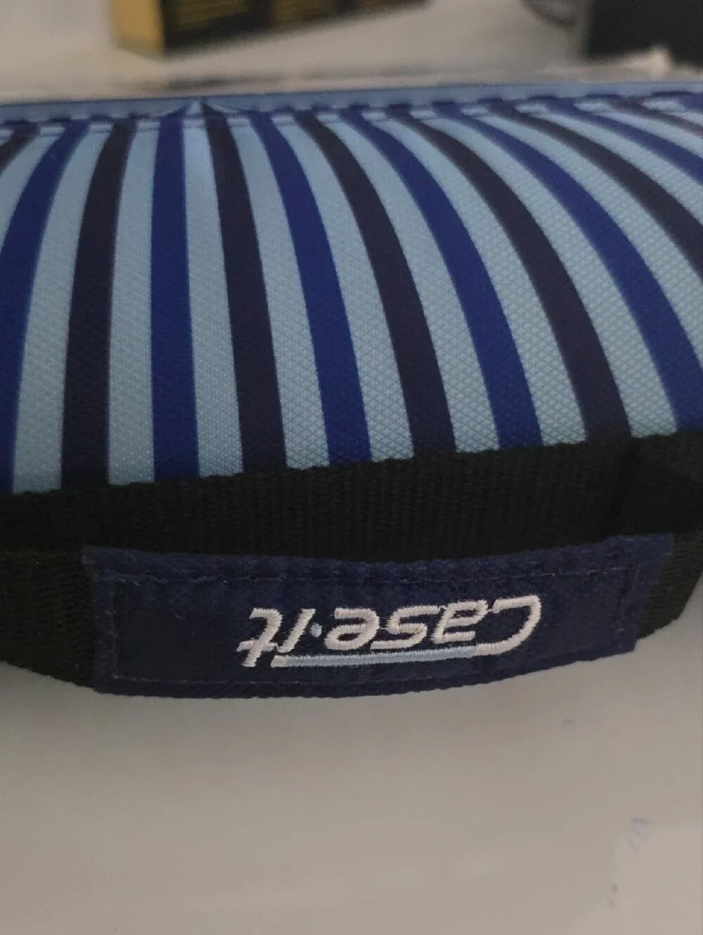 Blue and Navy Stripe Binder Case